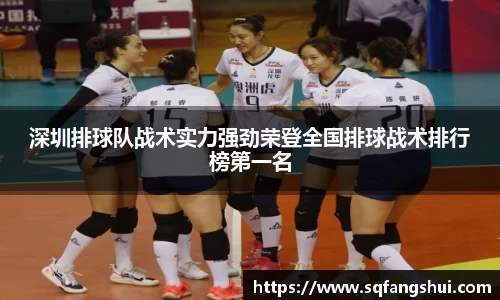 深圳排球队战术实力强劲荣登全国排球战术排行榜第一名