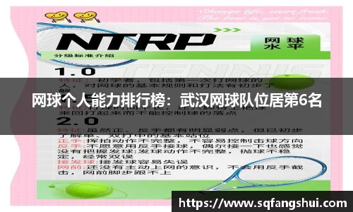 网球个人能力排行榜：武汉网球队位居第6名